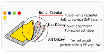 duzen